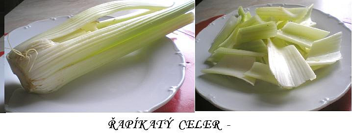BUŠI přílohový řapíkatý celer (řapíkatý celer)