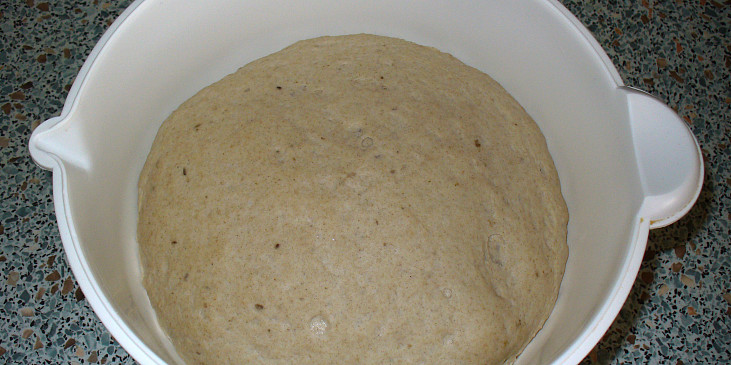 Celokváskový pšenično-žitný chléb (Vykynuté po cca 3h)