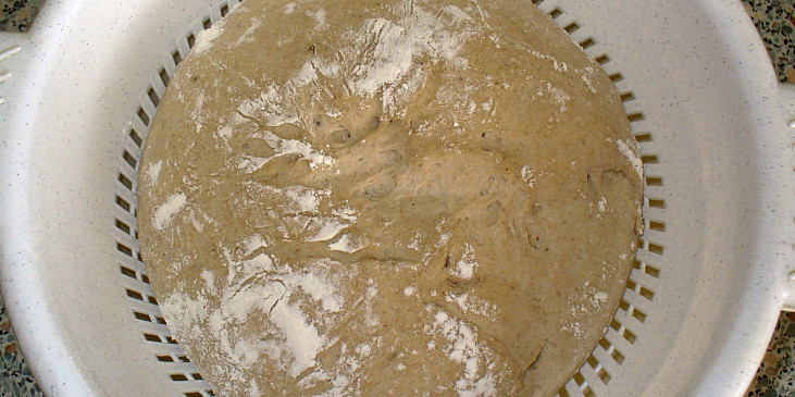 Celokváskový pšenično-žitný chléb (Vykynuté po cca 2h)