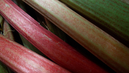 Crumble s rebarborou, mandlemi a brusinkami