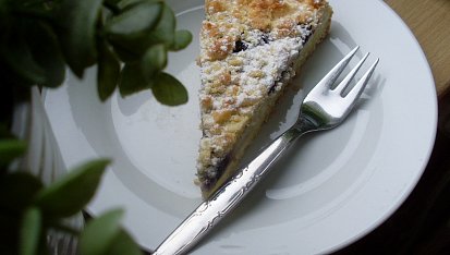 Drobenkový koláč s tvarohem a ovocem