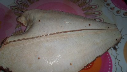 Grilovaný platýs na zelenině, naříznuto z druhé, bílé strany