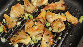 Hlíva zapečená s mozzarellou a gorgonzolou