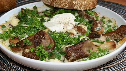 Hlíva zapečená s mozzarellou a gorgonzolou