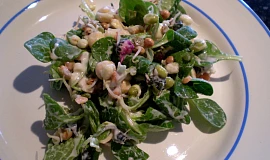 Jarní salát s polníčkem a sedmikráskou - vegan