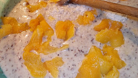 Buchta  s Kofilou, medem a  meruňkami