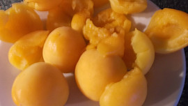 Buchta  s Kofilou, medem a  meruňkami