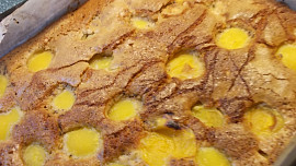 Buchta  s Kofilou, medem a  meruňkami