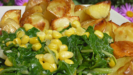 Mangold s kukuřicí