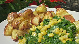 Mangold s kukuřicí