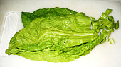 Mangoldový salát
