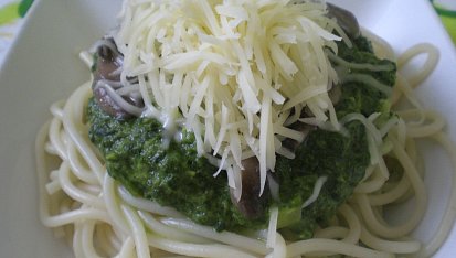 Penne se špenátovým přelivem a kuřecími kousky
