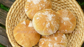Podmáslová sluníčka (bulky)