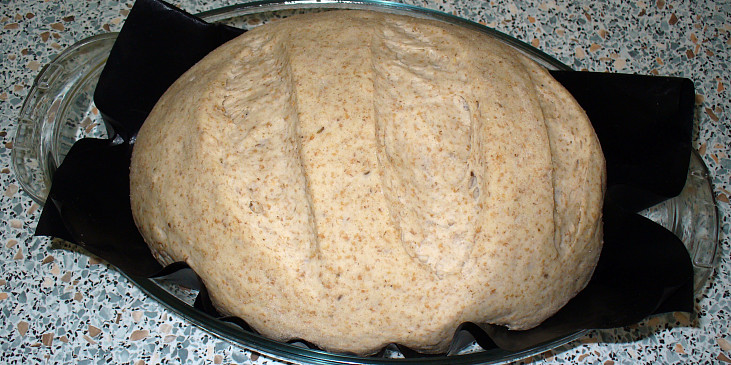Podmáslový chléb v římském hrnci (Nakynutý,před pečením)