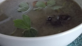 Polévkový, houbovo- celerový  krém