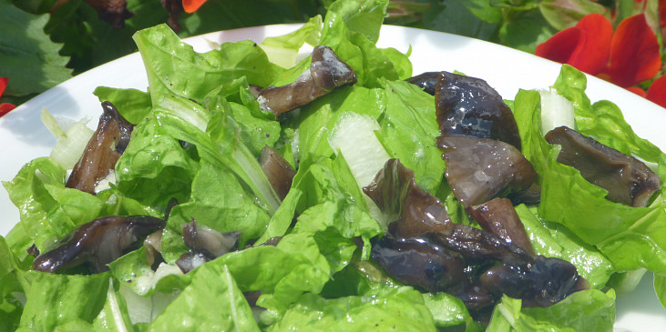 Salát z mangoldu a hub