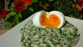 Zelená ovesná kaše