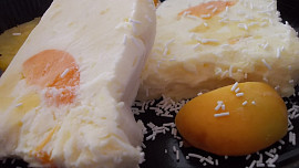 Bábovková meruňkovo  -  ananasová  zmrzlina