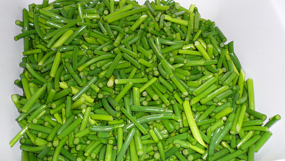 Česnekové pesto, Letošní sklizeň