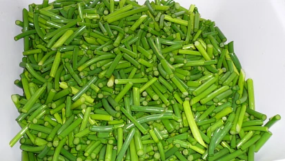 Česnekové pesto, Letošní sklizeň