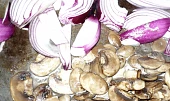 Gnocchi se smetanovou žampionovo-šunkovou omáčkou