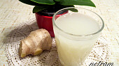 Kvašená zázvorová limonáda (ginger beer)