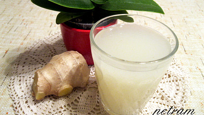 Kvašená zázvorová limonáda (ginger beer)