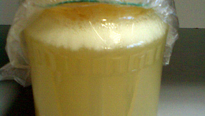 Kvašená zázvorová limonáda (ginger beer)