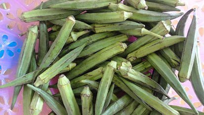 Omáčka z okry / Okoro soup, Okrové lusky