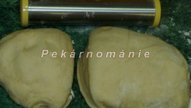 Pomerančové slunečnice