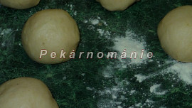 Pomerančové slunečnice