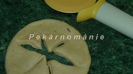 Pomerančové slunečnice