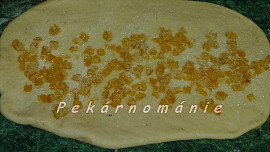 Pomerančové slunečnice