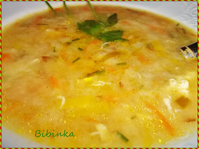 Rohlíková (housková) polévka, detail...
