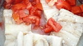 Rybí filé na rajčatech s bazalkou
