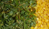 Salát z kukuřice a šruchy zelné
