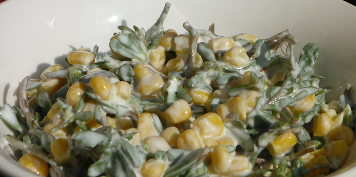 Salát z kukuřice a šruchy zelné