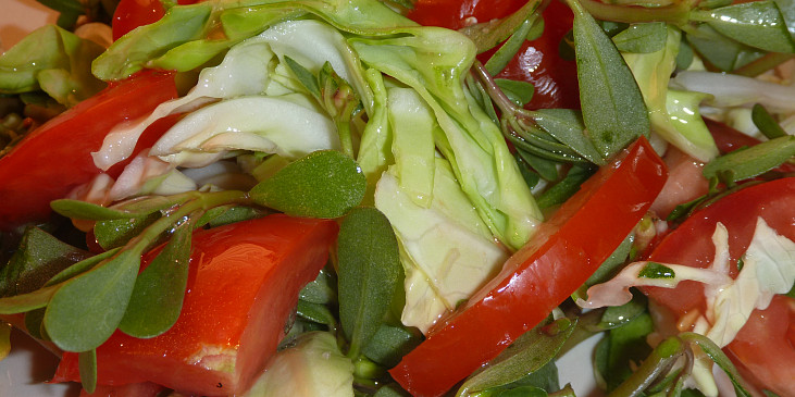 Salát z mladého zelí, šruchy a rajčat