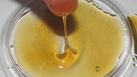 "Sedmikráskový med" s limetami a třtinovým cukrem
