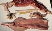 Sladkokyselé olihně (kalamáry) a krevety (Olihně s kůží s odstraněnou hlavou, vnitřnostmi a " pérem")