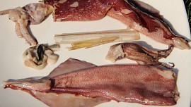 Sladkokyselé olihně (kalamáry) a krevety