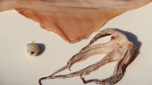 Sladkokyselé olihně (kalamáry) a krevety, Očištěné tělo olihně, chapadla a vyjmutý " zobák"