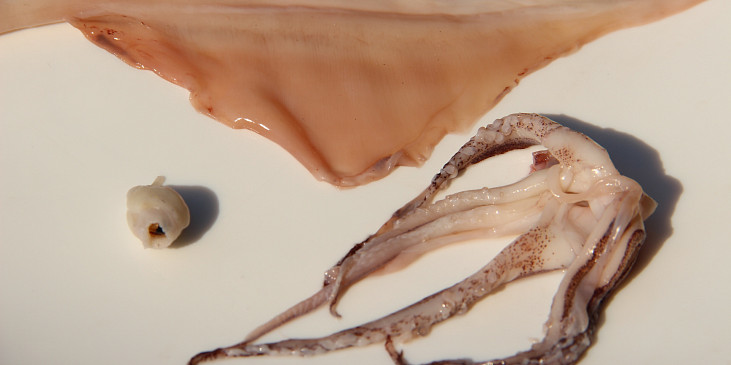 Sladkokyselé olihně (kalamáry) a krevety (Očištěné tělo olihně, chapadla a vyjmutý " zobák")
