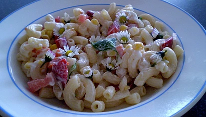 Těstovinový salát se sedmikráskou - vegan