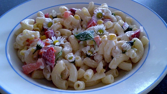 Těstovinový salát se sedmikráskou - vegan