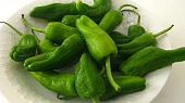 Wrap s pečenými papričkami pimientos de padron