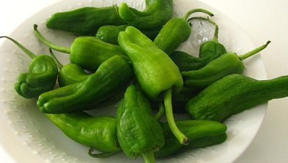 Wrap s pečenými papričkami pimientos de padron