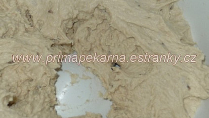 Základní kváskový chleba, Čerstvě uhnětené těsto