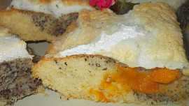 Bublanina   s meruňkami,  mákem a  sněhovou čepicí