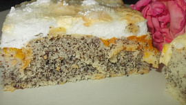 Bublanina   s meruňkami,  mákem a  sněhovou čepicí